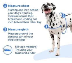 Deluxe Easy Walk® Harness -Pawsy Store 5ddcad45596174c9c7e573a09f0c877f5dc036ee 743x647 7d2fb3ad ec67 4d9a b10c 76c263237bbd