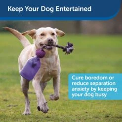 Busy Buddy® Tug-A-Jug™ -Pawsy Store Amazon Toys Tug Jug Benefits