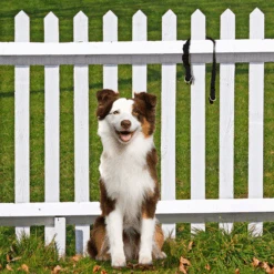 KeepSafe® Collar -Pawsy Store KSC P01