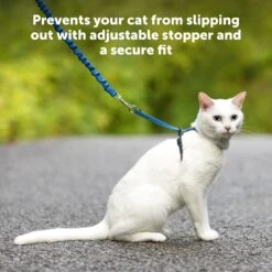 Come With Me Kitty™ Cat Harness & Bungee Leash -Pawsy Store P01 b1ff476a 1fc3 49f9 b6eb 4af5c195c8b4