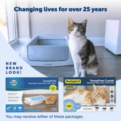 Disposable Litter Tray - ScoopFree® Fresh Crystal 3-Pack -Pawsy Store PAC00 14231 P06