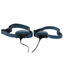 Remote Trainer USB Adaptor -Pawsy Store PAC00 16357 P03