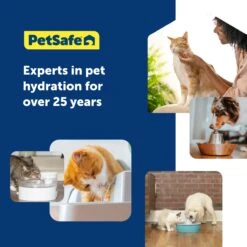Ion-X™ Pet Fountain Filters, 4-Pack -Pawsy Store PAC00 17260 P05