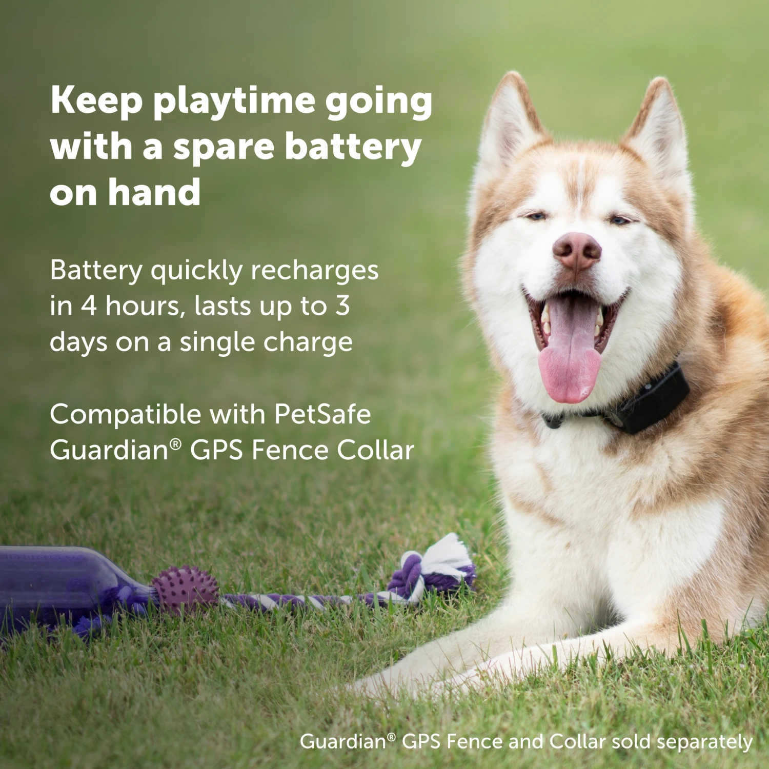 Guardian® GPS Fence Collar Battery For Guardian GPS Connected Customizable Dog Fence 5 Guardian® GPS Fence Collar Battery For Guardian GPS Connected Customizable Dog Fence - Image 3