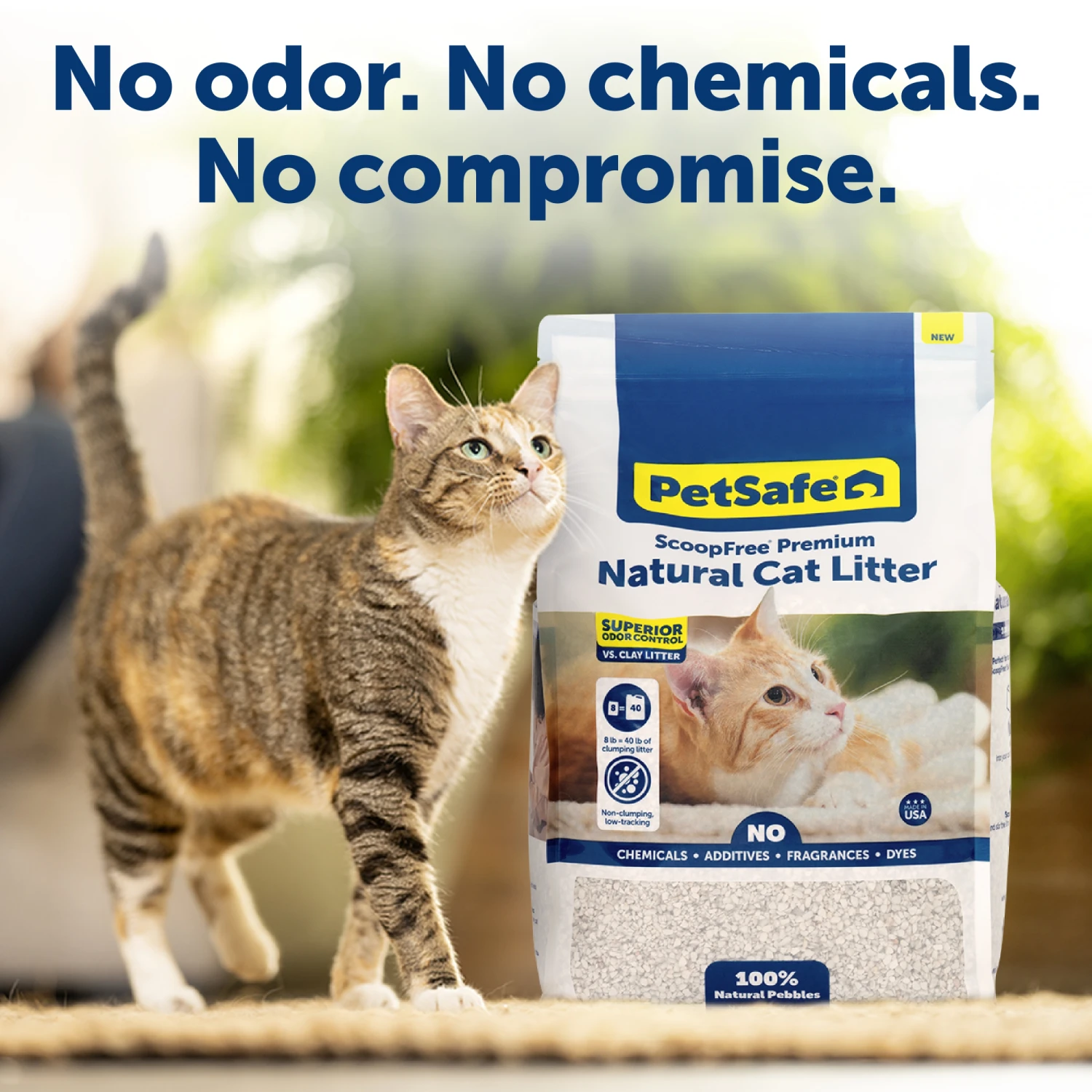 Natural Cat Litter - ScoopFree® Premium Fragrance-Free 8 Lb 3 Natural Cat Litter - ScoopFree® Premium Fragrance-Free 8 Lb - Image 2