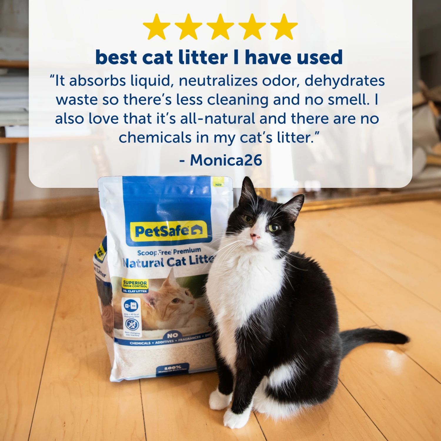 Natural Cat Litter - ScoopFree® Premium Fragrance-Free 8 Lb 6 Natural Cat Litter - ScoopFree® Premium Fragrance-Free 8 Lb - Image 5