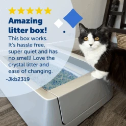 Smart Self-Cleaning Litter Box - ScoopFree® Crystal Smart -Pawsy Store PAL00 16807 P04