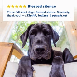 Indoor Bark Control 11 Indoor Bark Control -Pawsy Store PBC 1000 P03