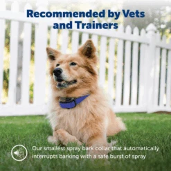 Elite Little Dog Spray Bark Control -Pawsy Store PBC00 11283 P01