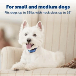 Elite Little Dog Spray Bark Control -Pawsy Store PBC00 11283 P03