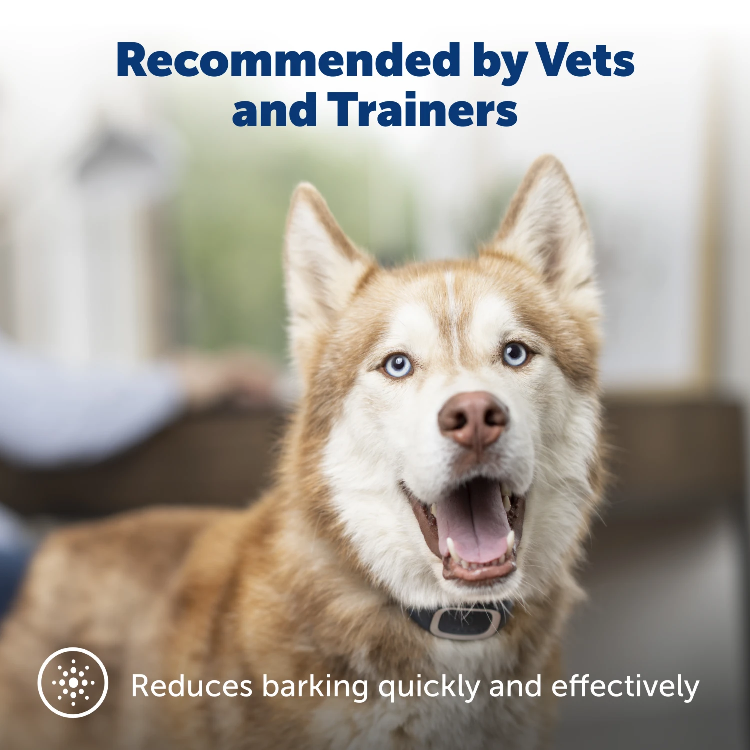 Bark Collar 4 Bark Collar - Image 2