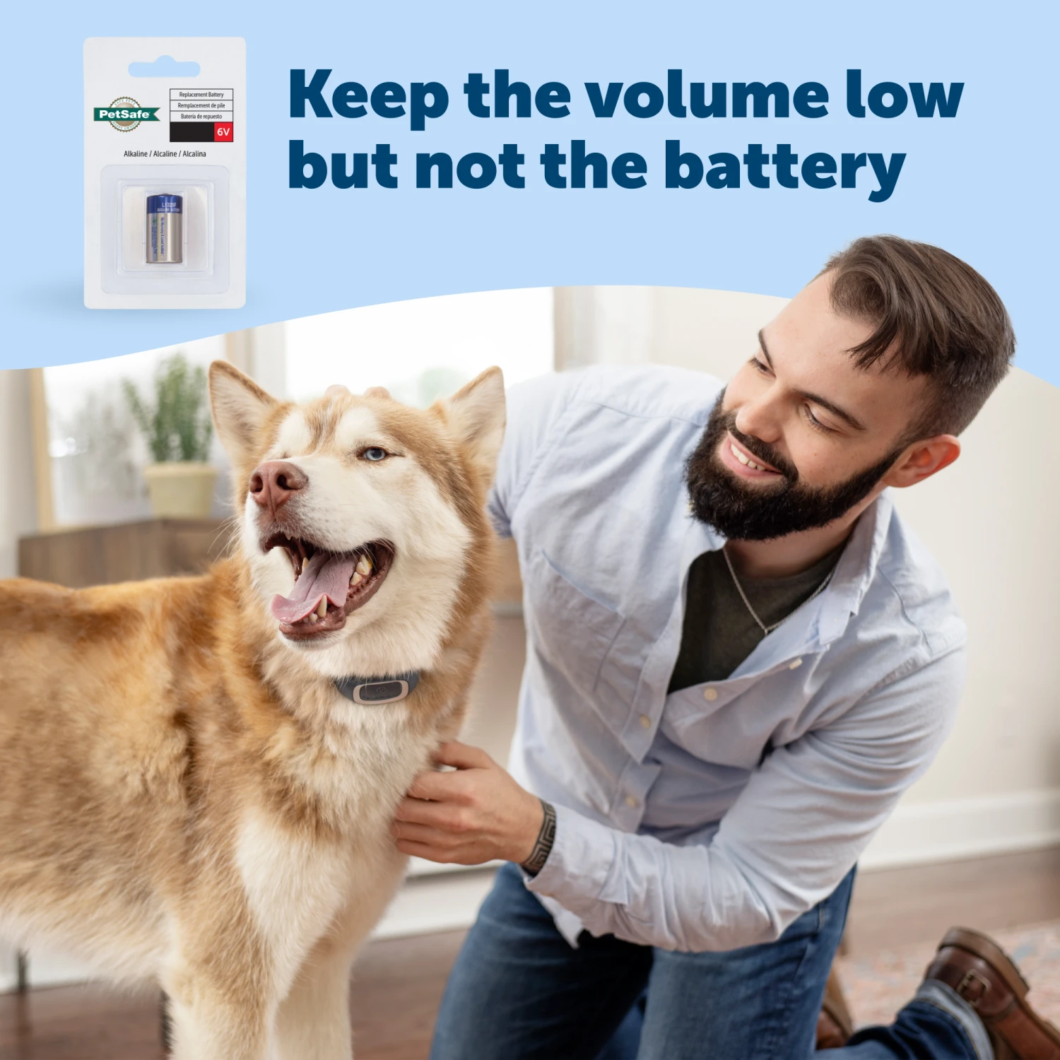 Bark Collar 7 Bark Collar - Image 5