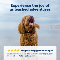 Remote Trainer -Pawsy Store PDT00 16126 P03