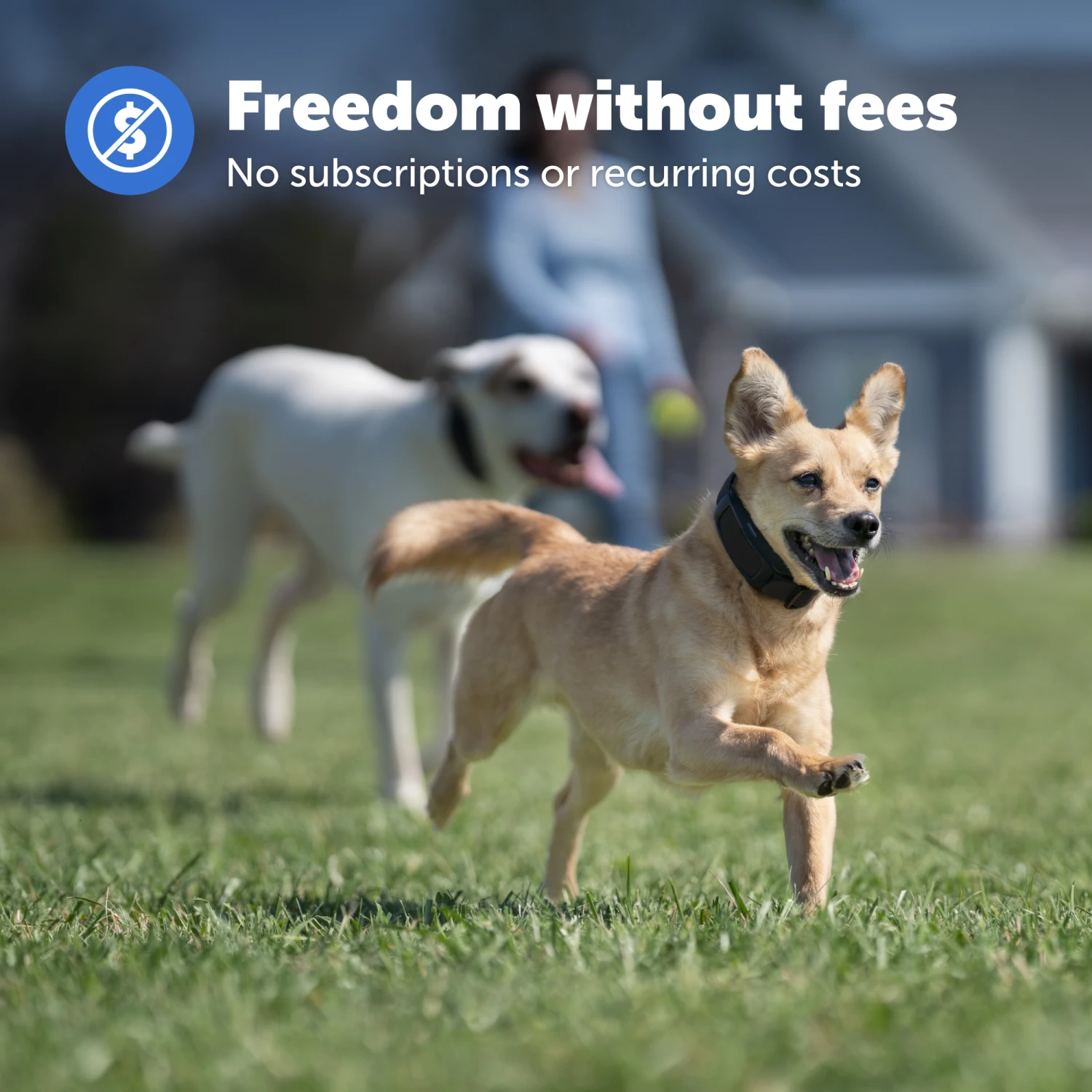 Guardian® GPS Dog Fence 5 Guardian® GPS Dog Fence - Image 3