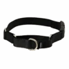 Martingale Collar With Quick Snap Buckle 1 Martingale Collar With Quick Snap Buckle -Pawsy Store PQC BLK MAIN