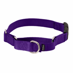 Martingale Collar With Quick Snap Buckle -Pawsy Store PQC DPP MAIN