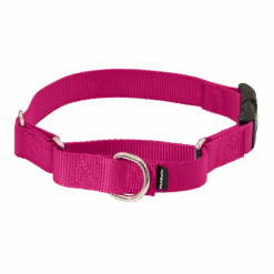 Martingale Collar With Quick Snap Buckle -Pawsy Store PQC RAS MAIN