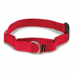Martingale Collar With Quick Snap Buckle -Pawsy Store PQC RED MAIN
