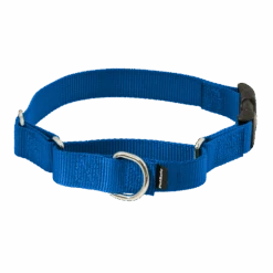 Martingale Collar With Quick Snap Buckle -Pawsy Store PQC RYL MAIN