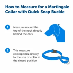 Martingale Collar With Quick Snap Buckle -Pawsy Store PQC P02