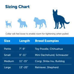 Martingale Collar With Quick Snap Buckle -Pawsy Store PQC P03