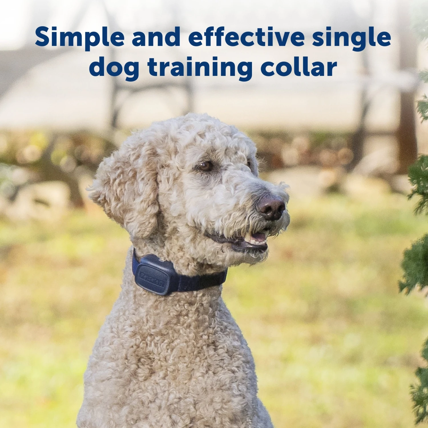 Basic Dog Trainer With Remote 4 Basic Dog Trainer With Remote - Image 2