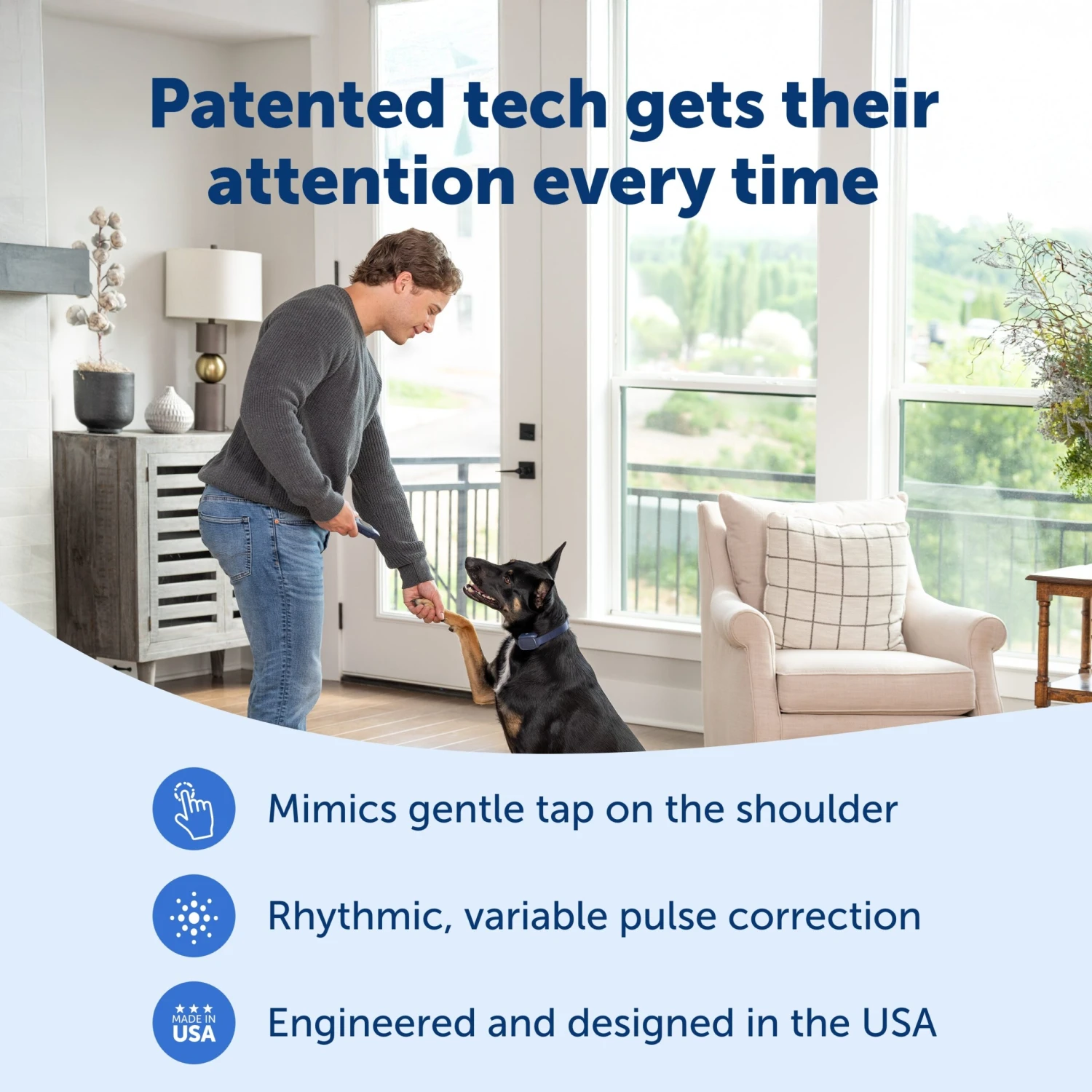 Basic Dog Trainer With Remote 5 Basic Dog Trainer With Remote - Image 3