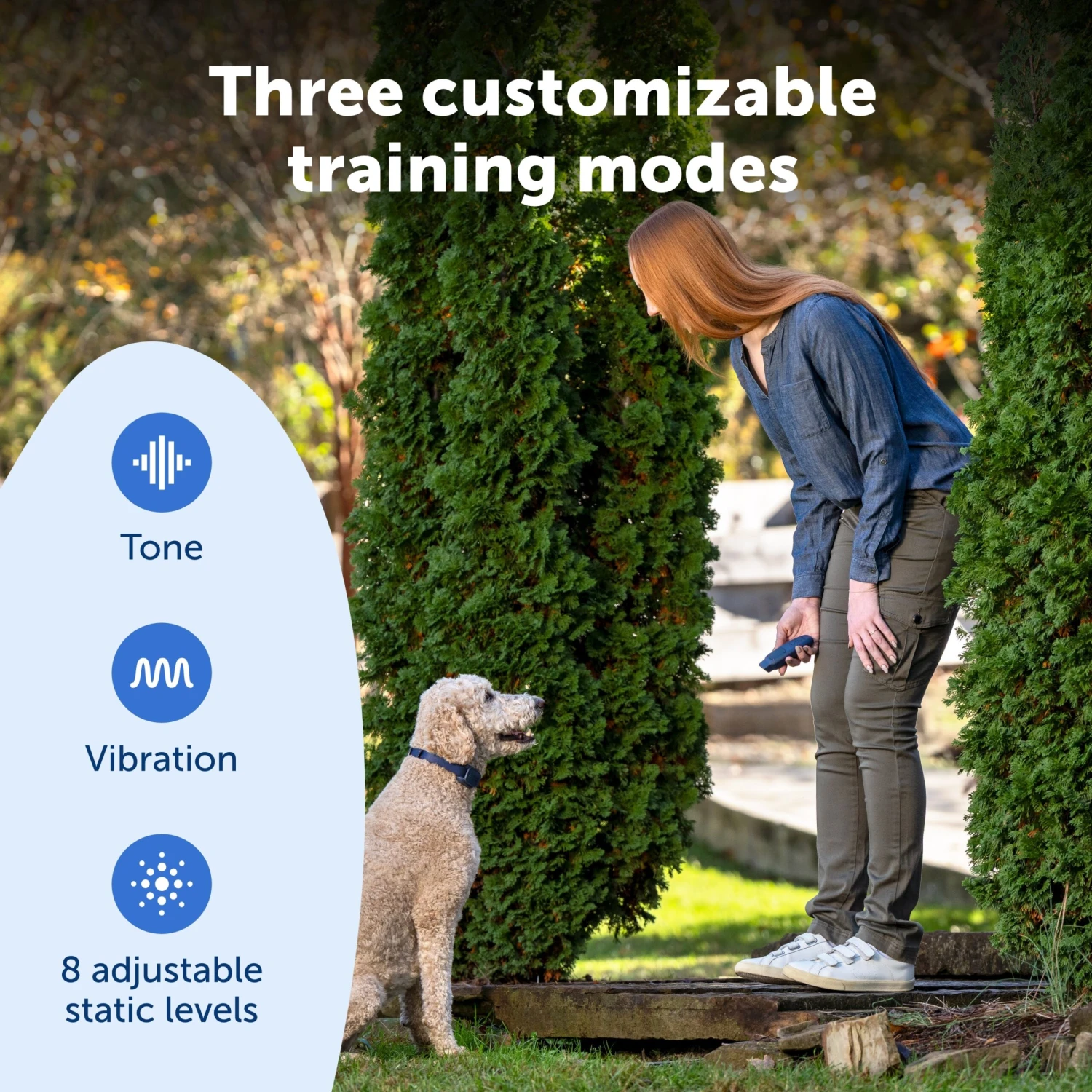 Basic Dog Trainer With Remote 6 Basic Dog Trainer With Remote - Image 4