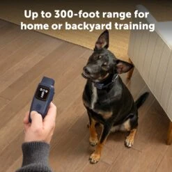 Basic Dog Trainer With Remote 16 Basic Dog Trainer With Remote -Pawsy Store PS AMZ ATF BasicTrainer 7 Range