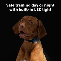 Core Trainer Add-A-Dog® Collar -Pawsy Store PS AMZ ATF CoreTrainer 2 Safe 2