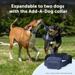 Core Dog Trainer With Remote -Pawsy Store PS AMZ ATF CoreTrainer 8 AddADog 1