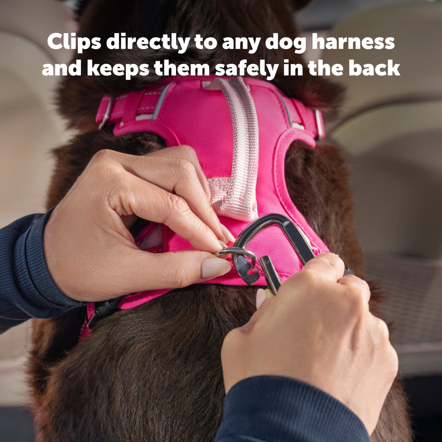 Safety Seatbelt Tether 6 Safety Seatbelt Tether - Image 4