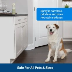 SSSCAT® Replacement Can 11 SSSCAT® Replacement Can -Pawsy Store PS AmazonATF PPD17 16165 SSSCATSprayRefil 3Safe