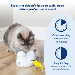 Peek-a-Bird™ Electronic Cat Toy -Pawsy Store PTY00 16857 P02