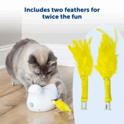 Peek-A-Bird™ Cat Toy Replacement Feathers -Pawsy Store PTY00 17363 P02