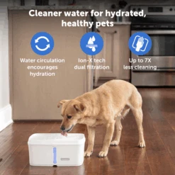 Viva™ 140 Oz Pet Fountain -Pawsy Store PWW00 17922 P01