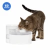 Outlast™ Cat Fountain, 60 Oz -Pawsy Store PWW00 17957 P00