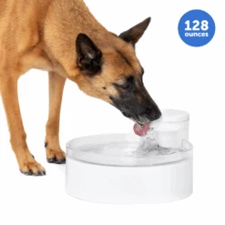 Outlast™ Dog Fountain, 128 Oz