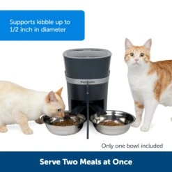 2-Pet Meal Splitter With Bowl -Pawsy Store aalteiqsehc9nwjsp2wc 51594e5f 7c7d 4e30 8e52 fa38179f422d