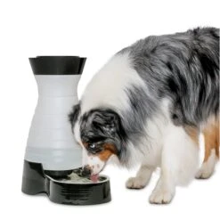 Healthy Pet Water Station™ -Pawsy Store ao9uswxbezwkef2shtem 5263fa66 e931 4e84 a680 f897fea6880d