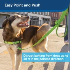 Collarless Ultrasonic Remote Trainer -Pawsy Store bburjc9y9blpfvbvkfrz 66cd42b6 c9ad 49b7 bd61 520530f30a8c