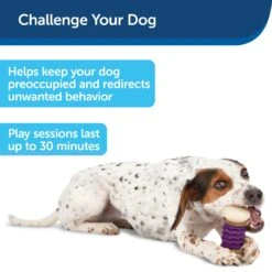 Busy Buddy® Nobbly Nubbly™ -Pawsy Store bd62b6znq2dggbxru9xl 5cc99348 ea8d 4e9b a5d1 a29011903b69