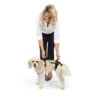 CareLift™ Support Harness -Pawsy Store cde3j6ifuedct2gakyiw 6f14a98e 6891 4424 bfa2 48d4bf170ce1