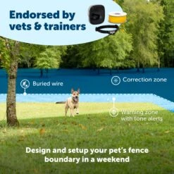 Pawsy Store -Pawsy Store cfsugpworhc4yj44qyin 64390eaa d919 472d 81db ccdaf2d1b2a5