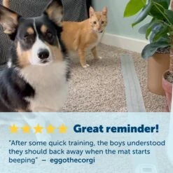 ScatMat® Indoor Pet Training Mats 19 ScatMat® Indoor Pet Training Mats -Pawsy Store cg4iop7kj1r5ux6a7pvz adeb48a8 1e6e 4dbf 954e b50b9429d870