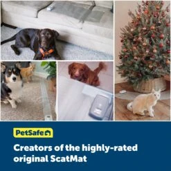 ScatMat® Indoor Pet Training Mats 21 ScatMat® Indoor Pet Training Mats -Pawsy Store cgk8girbcv7m0w1aljxi a8d2ec9f 890f 4da0 b0d9 9a221fca6500