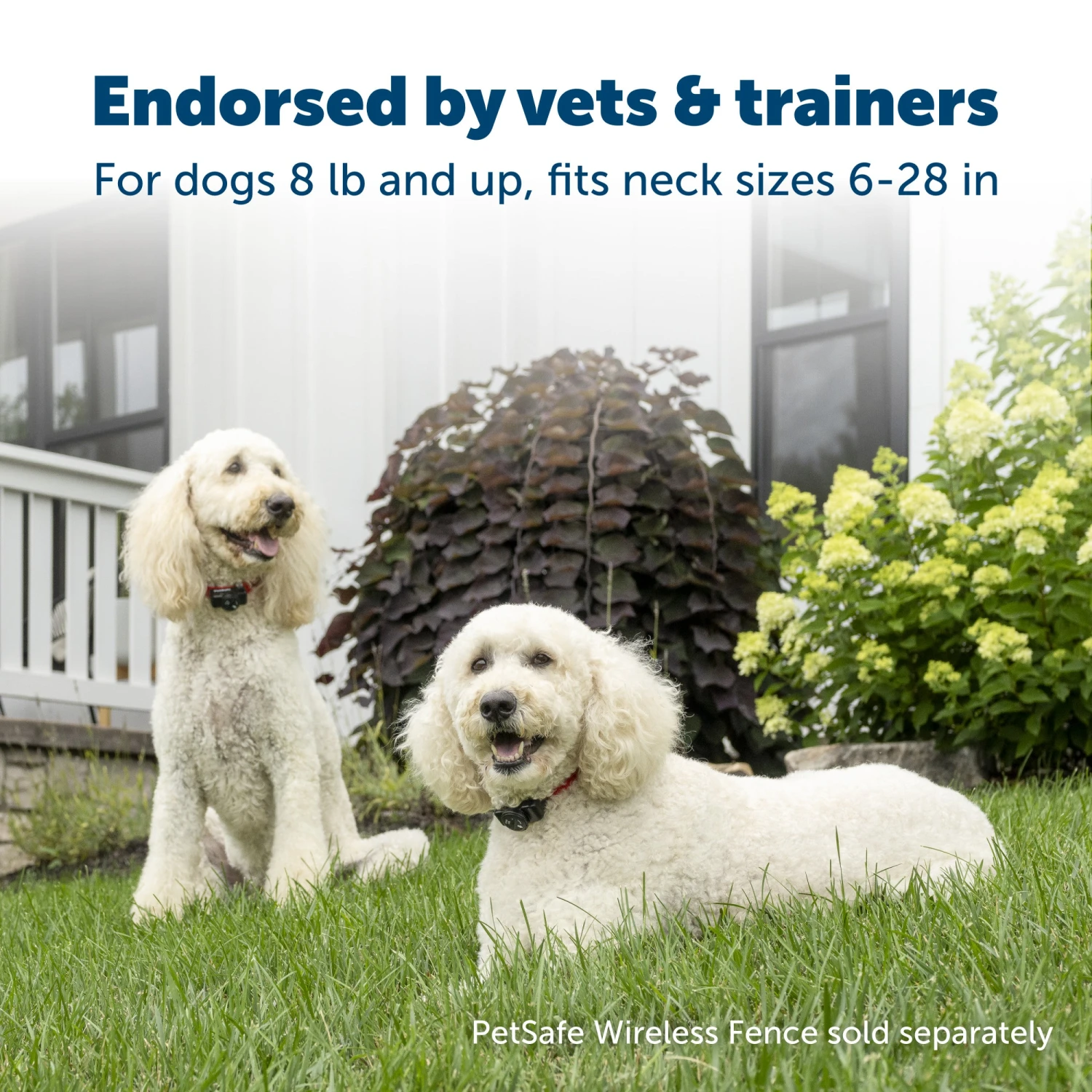 Wireless Pet Containment System Receiver Collar 4 Wireless Pet Containment System Receiver Collar - Image 2