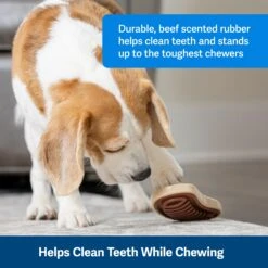 Busy Buddy® Slab O’ Sirloin -Pawsy Store clcudkx8nyydukya6mzy fc7343f7 0af0 4d18 8bdd 343aec91af78