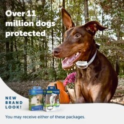 Classic In-Ground Fence™ Rechargeable Receiver -Pawsy Store ddlouoejxjgsmkgstumf 3238cbcc 4fdd 462f a42d 0e47e568c0d7