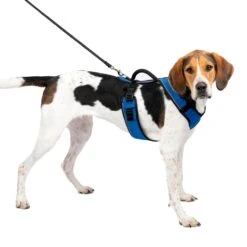 EasySport Harness -Pawsy Store djhza51nldua0f5kp0yj 31735892 6a3f 4fb2 993c 7ac22a95120e